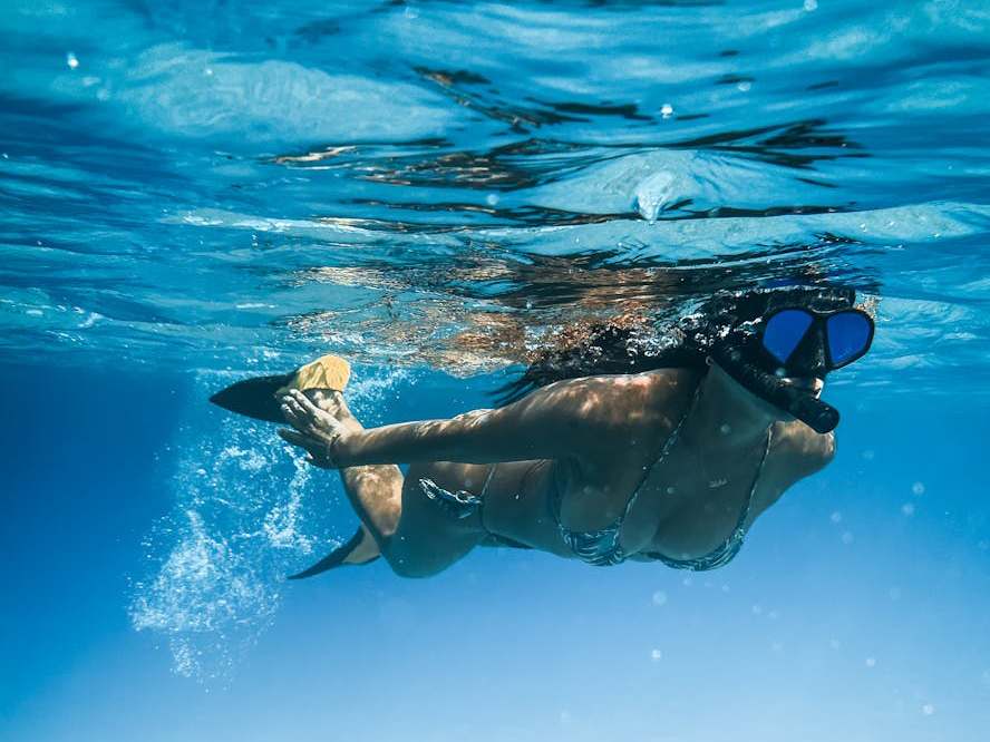 snorkelling fun-snorkeling (